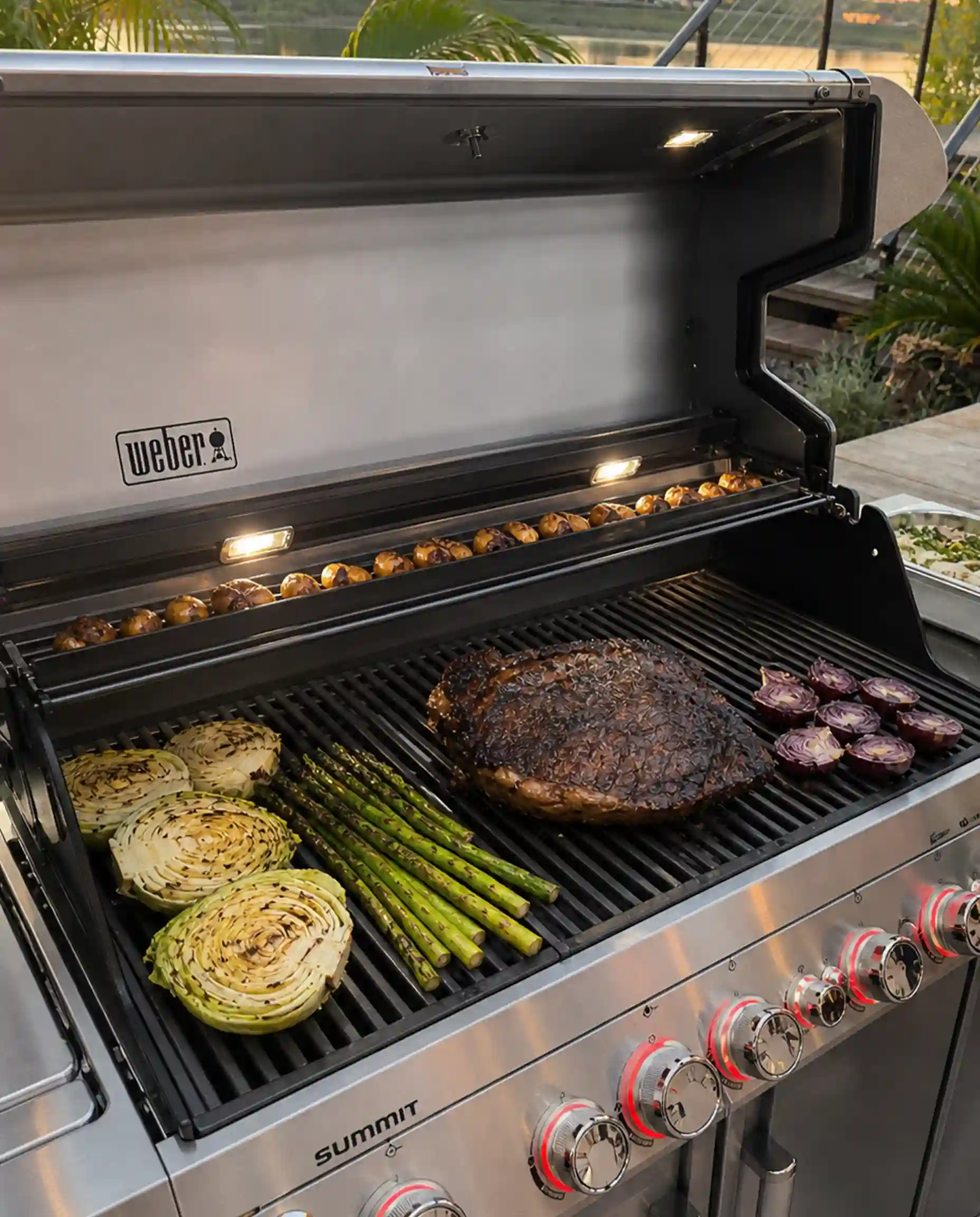 Weber Summit Gasgrill