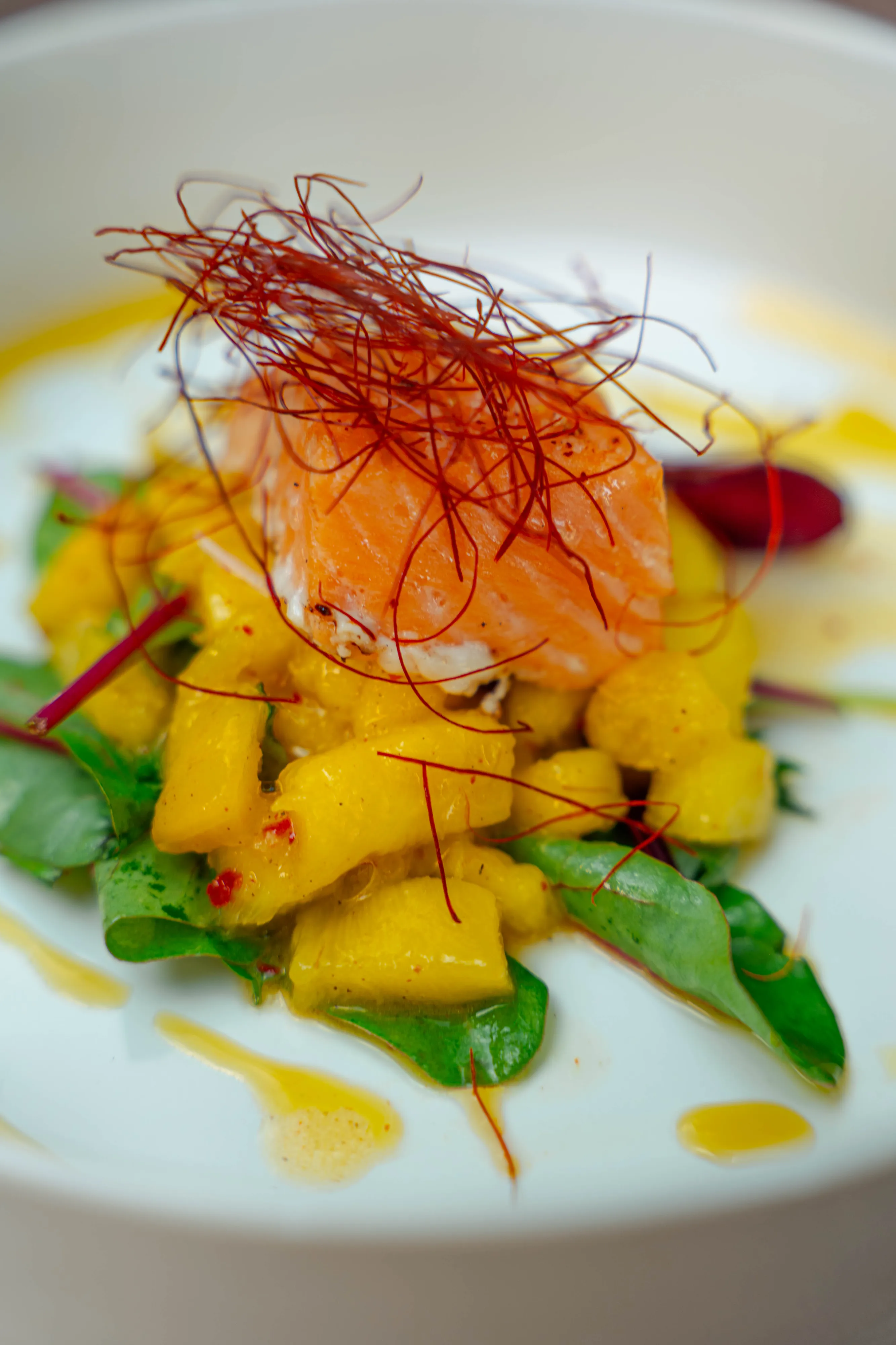 Lachs vom Zedernholzbrett mit Mango-Ananas-Salat und Chilifaeden